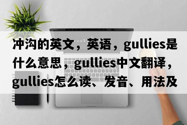 沖溝的英文，英語，gullies是什么意思，gullies中文翻譯，gullies怎么讀、發(fā)音、用法及例句