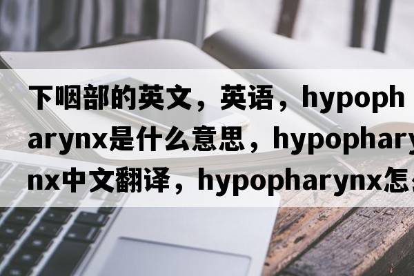 下咽部的英文，英語(yǔ)，hypopharynx是什么意思，hypopharynx中文翻譯，hypopharynx怎么讀、發(fā)音、用法及例句