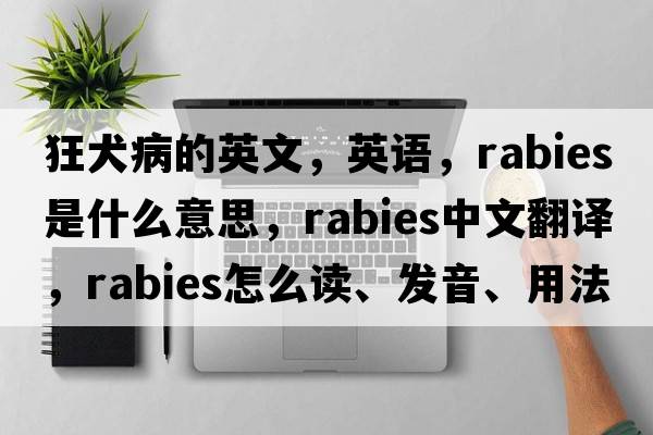 狂犬病的英文，英語(yǔ)，rabies是什么意思，rabies中文翻譯，rabies怎么讀、發(fā)音、用法及例句