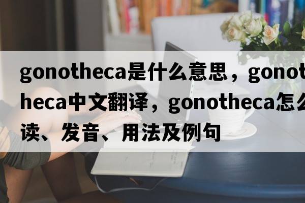 gonotheca是什么意思，gonotheca中文翻譯，gonotheca怎么讀、發(fā)音、用法及例句