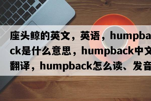 座頭鯨的英文，英語，humpback是什么意思，humpback中文翻譯，humpback怎么讀、發(fā)音、用法及例句