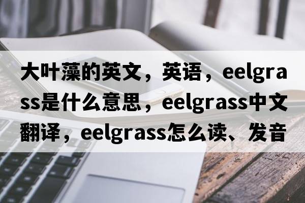 大葉藻的英文，英語，eelgrass是什么意思，eelgrass中文翻譯，eelgrass怎么讀、發(fā)音、用法及例句