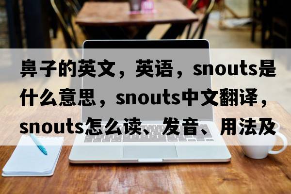 鼻子的英文，英語(yǔ)，snouts是什么意思，snouts中文翻譯，snouts怎么讀、發(fā)音、用法及例句