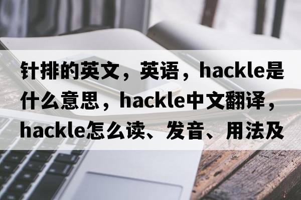 針排的英文，英語(yǔ)，hackle是什么意思，hackle中文翻譯，hackle怎么讀、發(fā)音、用法及例句