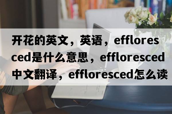 開花的英文，英語，effloresced是什么意思，effloresced中文翻譯，effloresced怎么讀、發(fā)音、用法及例句