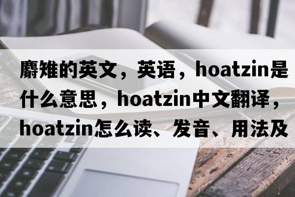 麝雉的英文，英語(yǔ)，hoatzin是什么意思，hoatzin中文翻譯，hoatzin怎么讀、發(fā)音、用法及例句