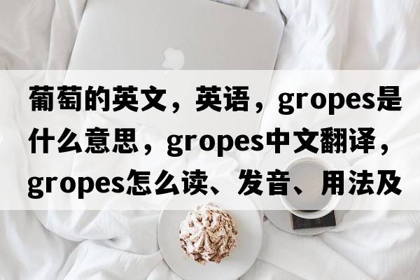 葡萄的英文，英語，gropes是什么意思，gropes中文翻譯，gropes怎么讀、發(fā)音、用法及例句