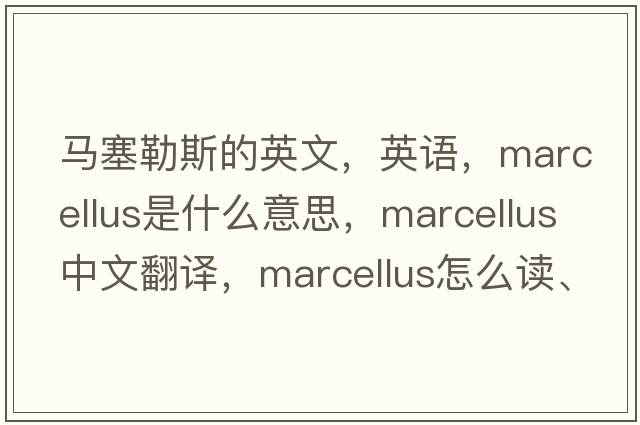 馬塞勒斯的英文，英語(yǔ)，Marcellus是什么意思，Marcellus中文翻譯，Marcellus怎么讀、發(fā)音、用法及例句