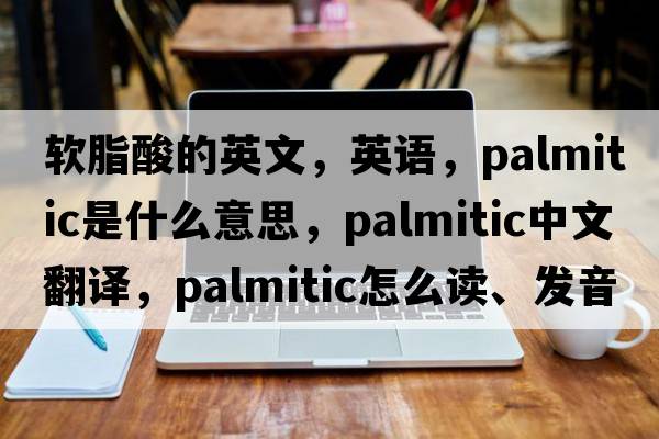 軟脂酸的英文，英語(yǔ)，palmitic是什么意思，palmitic中文翻譯，palmitic怎么讀、發(fā)音、用法及例句