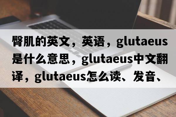 臀肌的英文，英語，glutaeus是什么意思，glutaeus中文翻譯，glutaeus怎么讀、發(fā)音、用法及例句