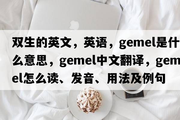 雙生的英文，英語，gemel是什么意思，gemel中文翻譯，gemel怎么讀、發(fā)音、用法及例句