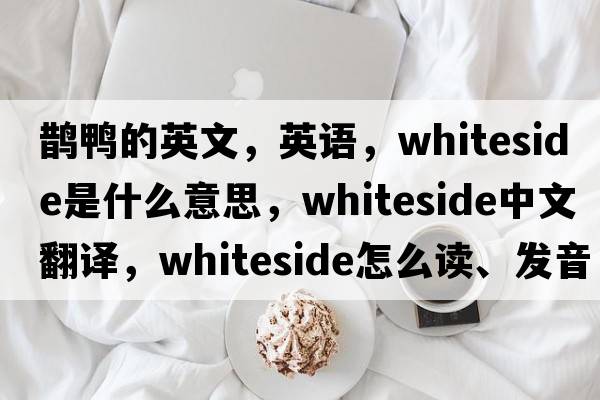 鵲鴨的英文，英語(yǔ)，Whiteside是什么意思，Whiteside中文翻譯，Whiteside怎么讀、發(fā)音、用法及例句