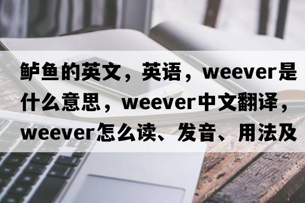 鱸魚(yú)的英文，英語(yǔ)，weever是什么意思，weever中文翻譯，weever怎么讀、發(fā)音、用法及例句