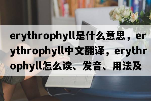 erythrophyll是什么意思，erythrophyll中文翻譯，erythrophyll怎么讀、發(fā)音、用法及例句