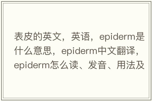 表皮的英文，英語，epiderm是什么意思，epiderm中文翻譯，epiderm怎么讀、發(fā)音、用法及例句