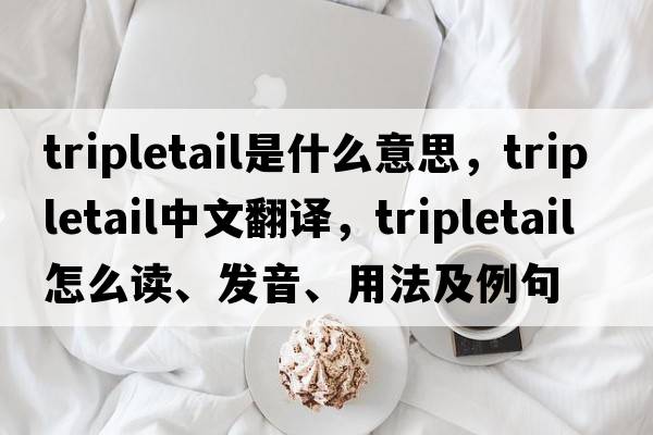 tripletail是什么意思，tripletail中文翻譯，tripletail怎么讀、發(fā)音、用法及例句