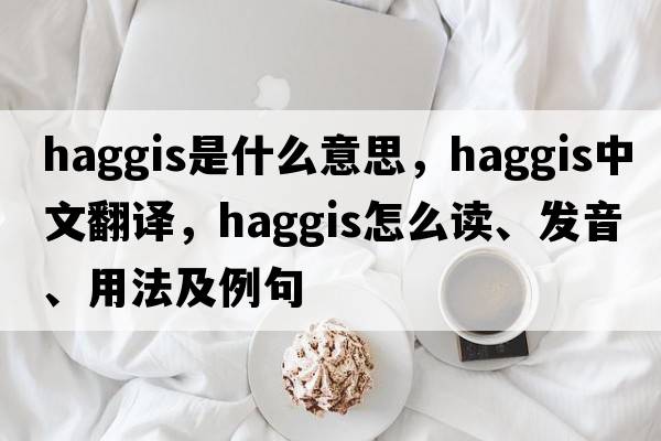 haggis是什么意思，haggis中文翻譯，haggis怎么讀、發(fā)音、用法及例句