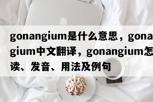 gonangium是什么意思，gonangium中文翻譯，gonangium怎么讀、發(fā)音、用法及例句