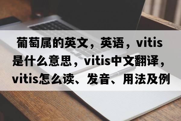  葡萄屬的英文，英語(yǔ)，Vitis是什么意思，Vitis中文翻譯，Vitis怎么讀、發(fā)音、用法及例句