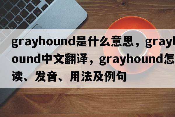 grayhound是什么意思，grayhound中文翻譯，grayhound怎么讀、發(fā)音、用法及例句
