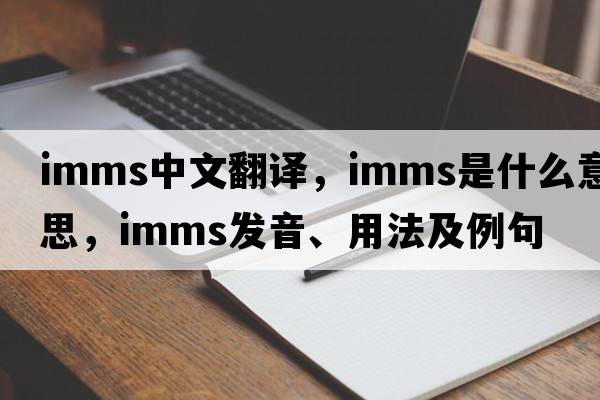 imms中文翻譯，imms是什么意思，imms發(fā)音、用法及例句