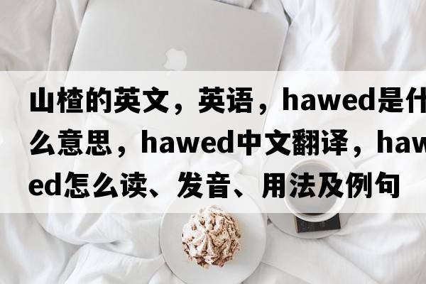 山楂的英文，英語(yǔ)，hawed是什么意思，hawed中文翻譯，hawed怎么讀、發(fā)音、用法及例句