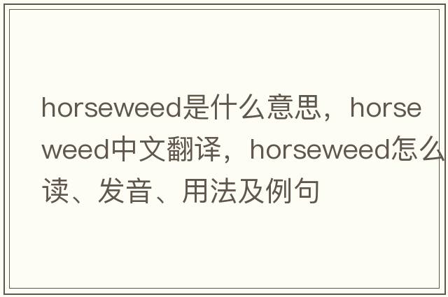 horseweed是什么意思，horseweed中文翻譯，horseweed怎么讀、發(fā)音、用法及例句