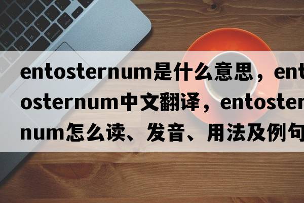 entosternum是什么意思，entosternum中文翻譯，entosternum怎么讀、發(fā)音、用法及例句