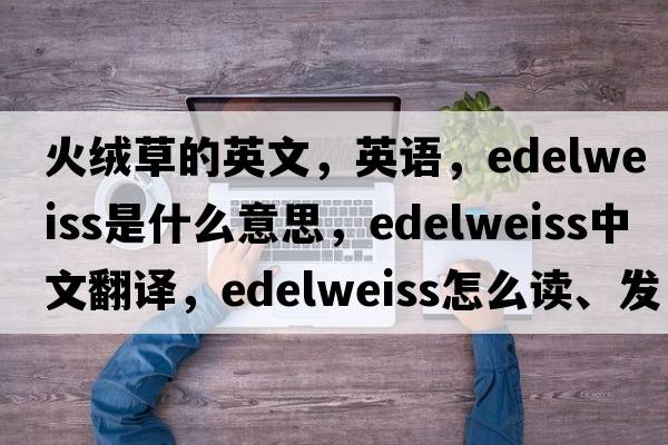 火絨草的英文，英語，edelweiss是什么意思，edelweiss中文翻譯，edelweiss怎么讀、發(fā)音、用法及例句