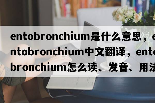 entobronchium是什么意思，entobronchium中文翻譯，entobronchium怎么讀、發(fā)音、用法及例句