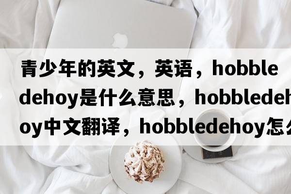 青少年的英文，英語，hobbledehoy是什么意思，hobbledehoy中文翻譯，hobbledehoy怎么讀、發(fā)音、用法及例句