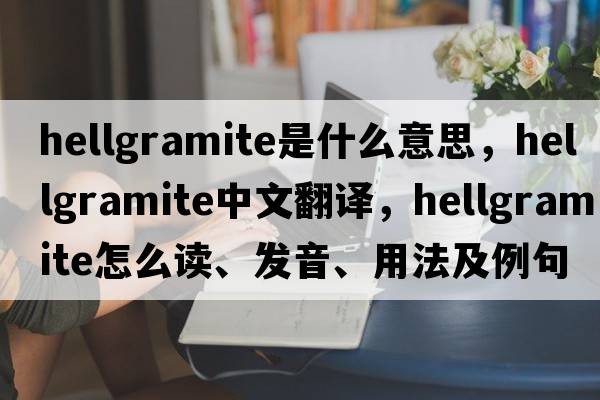 hellgramite是什么意思，hellgramite中文翻譯，hellgramite怎么讀、發(fā)音、用法及例句