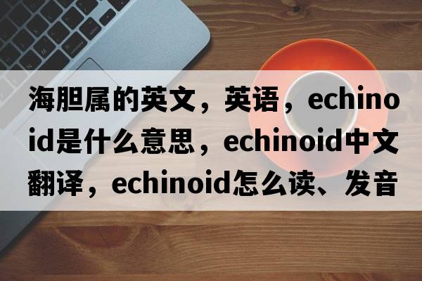 海膽屬的英文，英語，echinoid是什么意思，echinoid中文翻譯，echinoid怎么讀、發(fā)音、用法及例句