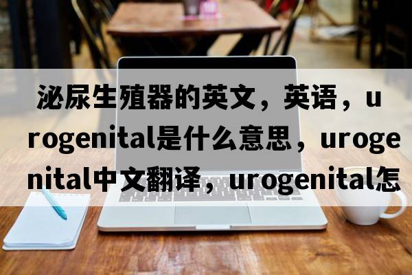  泌尿生殖器的英文，英語，urogenital是什么意思，urogenital中文翻譯，urogenital怎么讀、發(fā)音、用法及例句