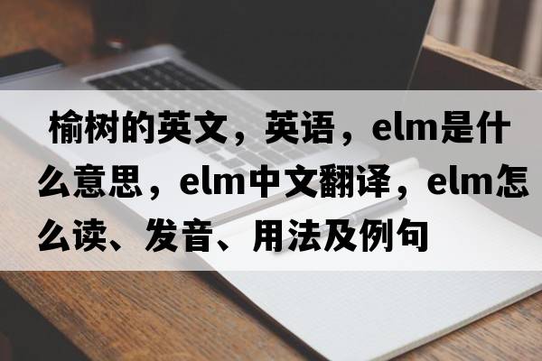  榆樹(shù)的英文，英語(yǔ)，elm是什么意思，elm中文翻譯，elm怎么讀、發(fā)音、用法及例句