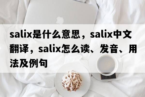 Salix是什么意思，Salix中文翻譯，Salix怎么讀、發(fā)音、用法及例句