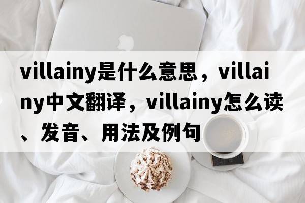 villainy是什么意思，villainy中文翻譯，villainy怎么讀、發(fā)音、用法及例句