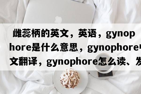  雌蕊柄的英文，英語，gynophore是什么意思，gynophore中文翻譯，gynophore怎么讀、發(fā)音、用法及例句