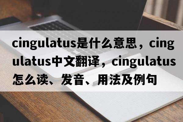 cingulatus是什么意思，cingulatus中文翻譯，cingulatus怎么讀、發(fā)音、用法及例句