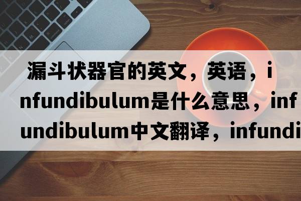  漏斗狀器官的英文，英語，infundibulum是什么意思，infundibulum中文翻譯，infundibulum怎么讀、發(fā)音、用法及例句