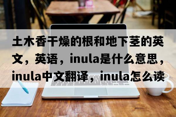 土木香干燥的根和地下莖的英文，英語，inula是什么意思，inula中文翻譯，inula怎么讀、發(fā)音、用法及例句