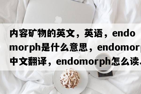 內(nèi)容礦物的英文，英語，endomorph是什么意思，endomorph中文翻譯，endomorph怎么讀、發(fā)音、用法及例句