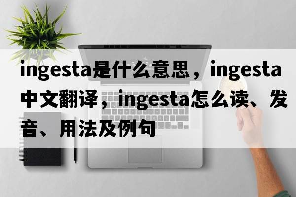 ingesta是什么意思，ingesta中文翻譯，ingesta怎么讀、發(fā)音、用法及例句
