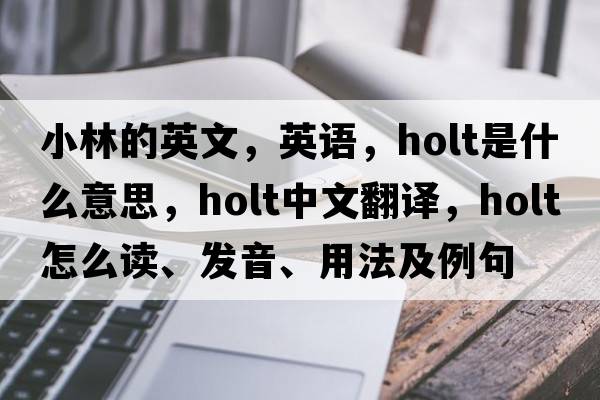小林的英文，英語，holt是什么意思，holt中文翻譯，holt怎么讀、發(fā)音、用法及例句