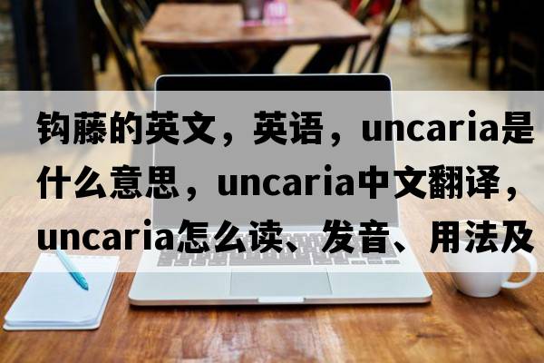 鉤藤的英文，英語(yǔ)，uncaria是什么意思，uncaria中文翻譯，uncaria怎么讀、發(fā)音、用法及例句