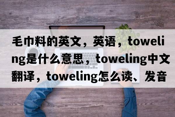 毛巾料的英文，英語，toweling是什么意思，toweling中文翻譯，toweling怎么讀、發(fā)音、用法及例句