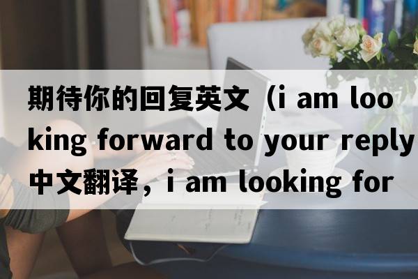 期待你的回復(fù)英文（i am looking forward to your reply中文翻譯，i am looking forward to your reply是什么意思，i am looking