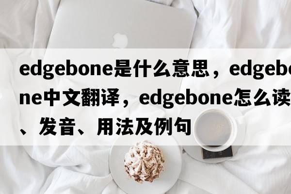 edgebone是什么意思，edgebone中文翻譯，edgebone怎么讀、發(fā)音、用法及例句
