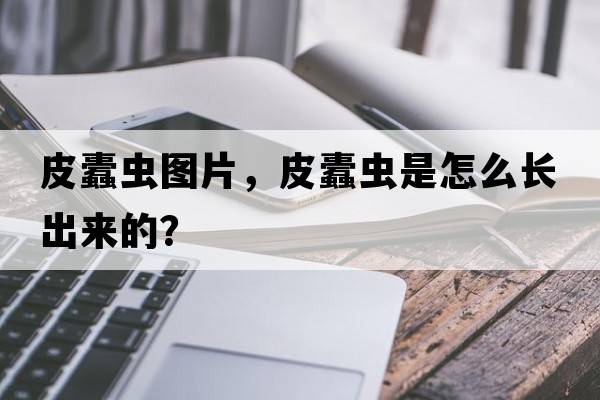皮蠹蟲圖片，皮蠹蟲是怎么長出來的？