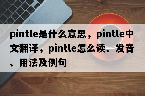 pintle是什么意思，pintle中文翻譯，pintle怎么讀、發(fā)音、用法及例句